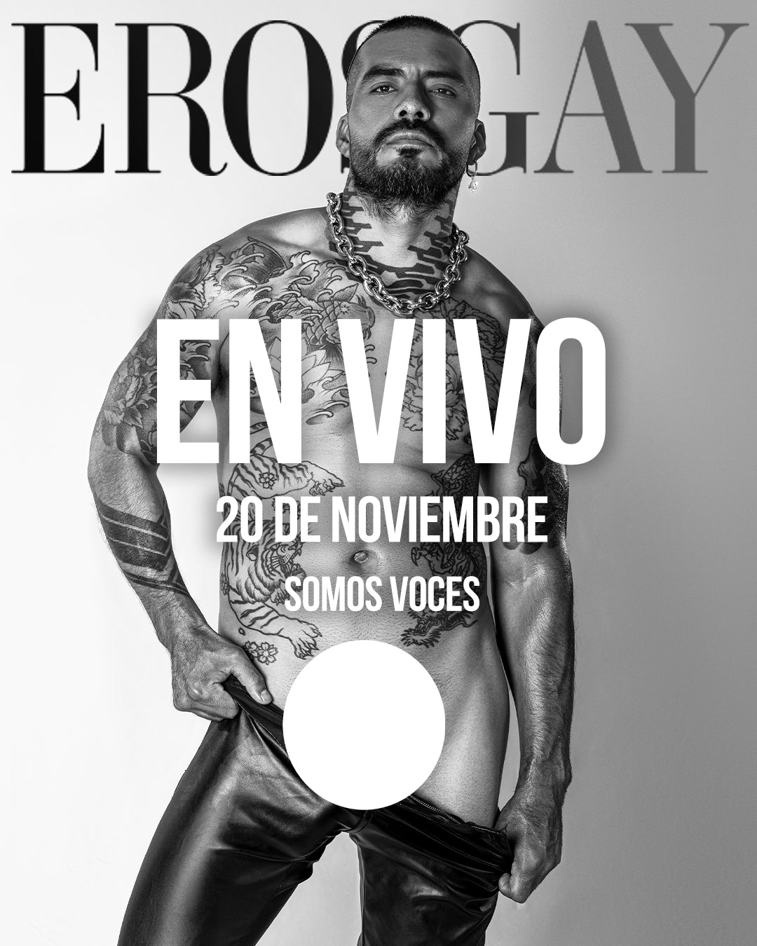 Boleto 20 de noviembre