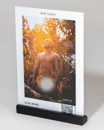 Stay Naked - 30 Tarjetas Afirmaciones Gay + Arte Erótico