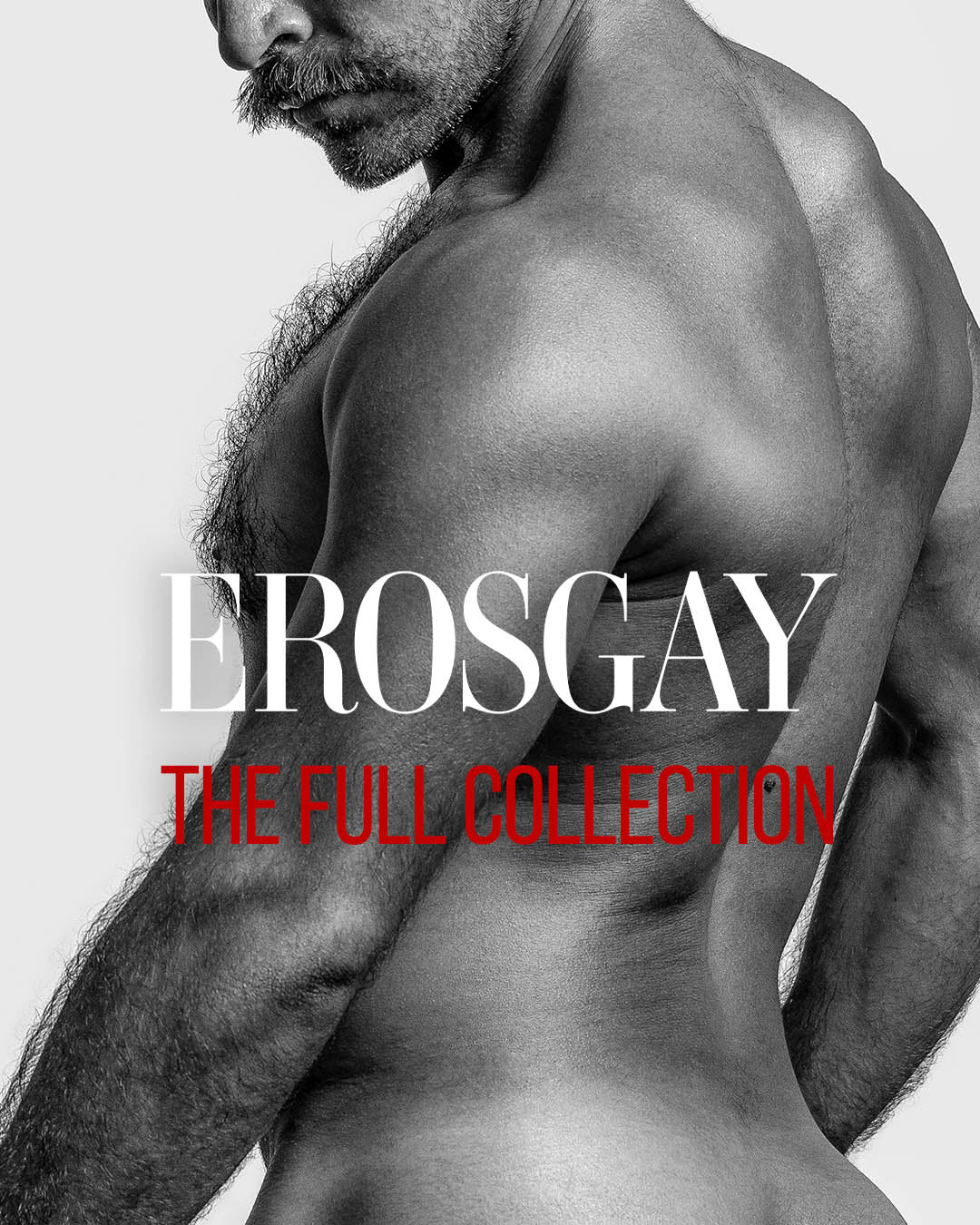 Pack of 15 Gay Calendars 2026 EROSGAY - The Eros Archive
